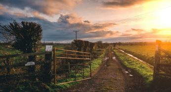 Farmers ‘squeezed out’ of agricultural land market by millionaires