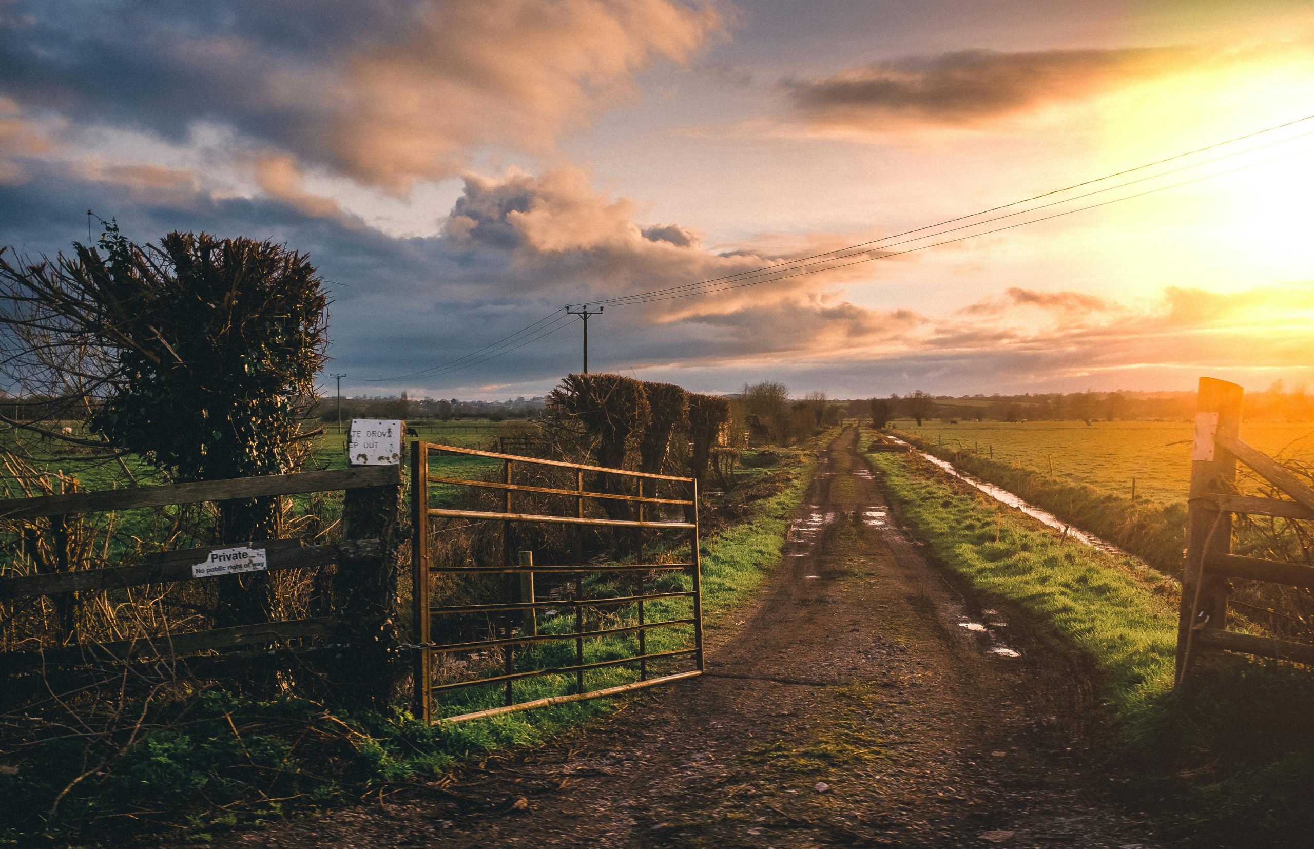 Farmers ‘squeezed out’ of agricultural land market by millionaires